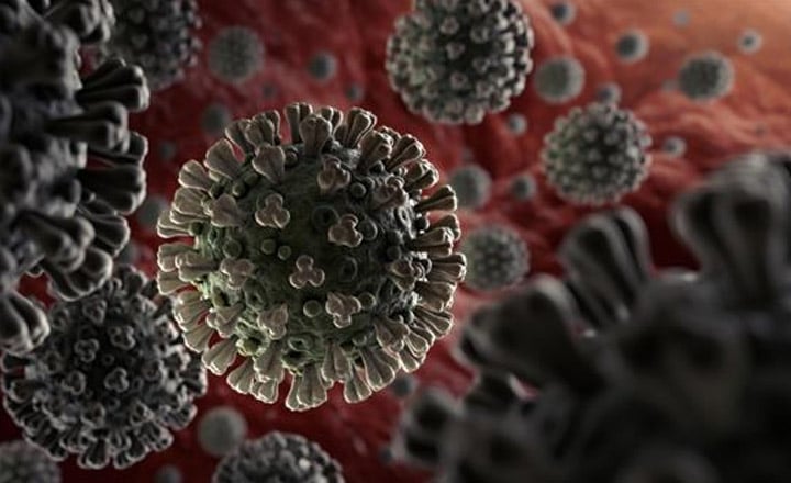 فيروس كوفيد-19 - منظمة الصحة العالمية